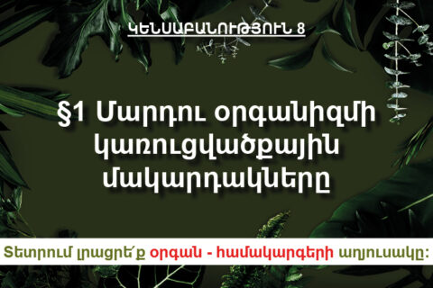 §1․Մարդու օրգանիզմի կառուցվածքային մակարդակները §1․Մարդու օրգանիզմի կառուցվածքային մակարդակները