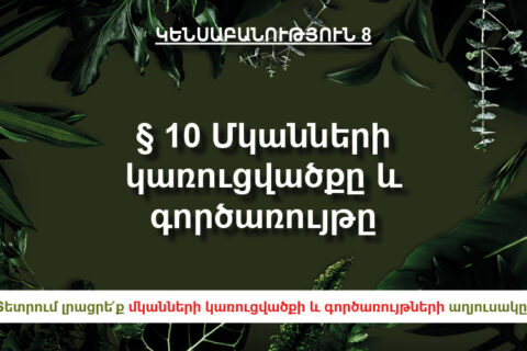 §10 Մկանների կառուցվածքը և գործառույթը §10 Մկանների կառուցվածքը և գործառույթը