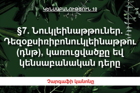 §7. ՆՈՒԿԼԵԻՆԱԹԹՈՒՆԵՐ. ԴՆԹ, ԿԱՌՈՒՑՎԱԾՔԸ ԵՎ ԿԵՆՍԱԲԱՆԱԿԱՆ ԴԵՐԸ §7. ՆՈՒԿԼԵԻՆԱԹԹՈՒՆԵՐ. ԴՆԹ, ԿԱՌՈՒՑՎԱԾՔԸ ԵՎ ԿԵՆՍԱԲԱՆԱԿԱՆ ԴԵՐԸ