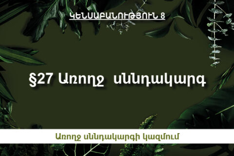 §27 Առողջ սննդակարգ §27 Առողջ սննդակարգ