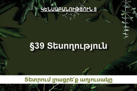 §39․ Տեսողություն աղյուսակ §39․ Տեսողություն աղյուսակ