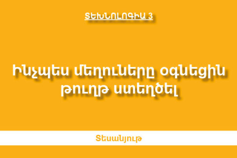 Ինչպես մեղուները օգնեցին թուղթ ստեղծել Ինչպես մեղուները օգնեցին թուղթ ստեղծել