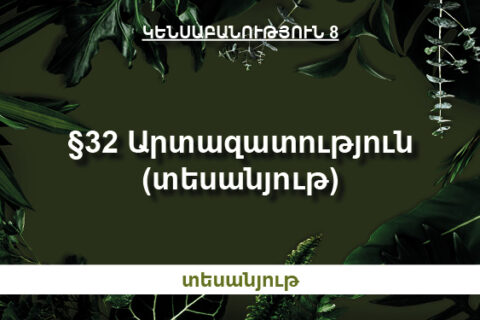 Եվրոպայի քաղաքական քարտեզ Եվրոպայի քաղաքական քարտեզ