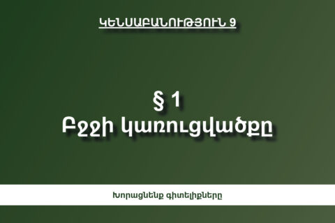 Բջջի կառուցվածքը Բջջի կառուցվածքը