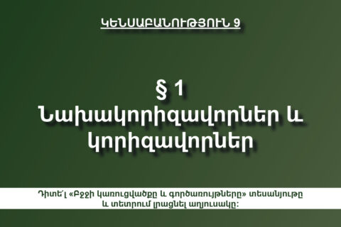 Բջջի կառուցվածքը և գործառույթները Բջջի կառուցվածքը և գործառույթները