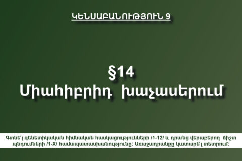 Գենետիկական հիմնական հասկացություններ Գենետիկական հիմնական հասկացություններ