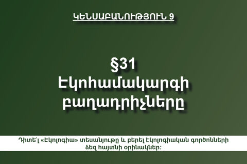 Էկոլոգիա Էկոլոգիա