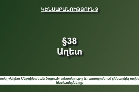 Աղետ Մեքսիկական ծոցում Աղետ Մեքսիկական ծոցում