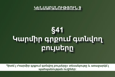 Կարմիր գրքում գտնվող բույսերը Կարմիր գրքում գտնվող բույսերը