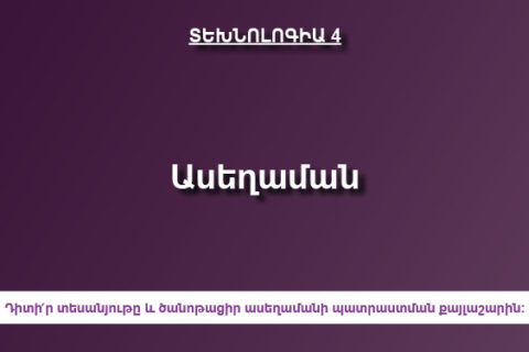 Ասեղաման Ասեղաման