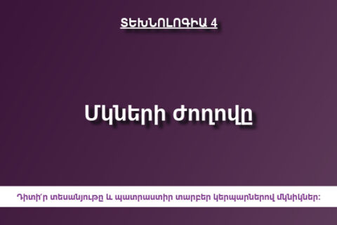 Մկների ժողովը Մկների ժողովը